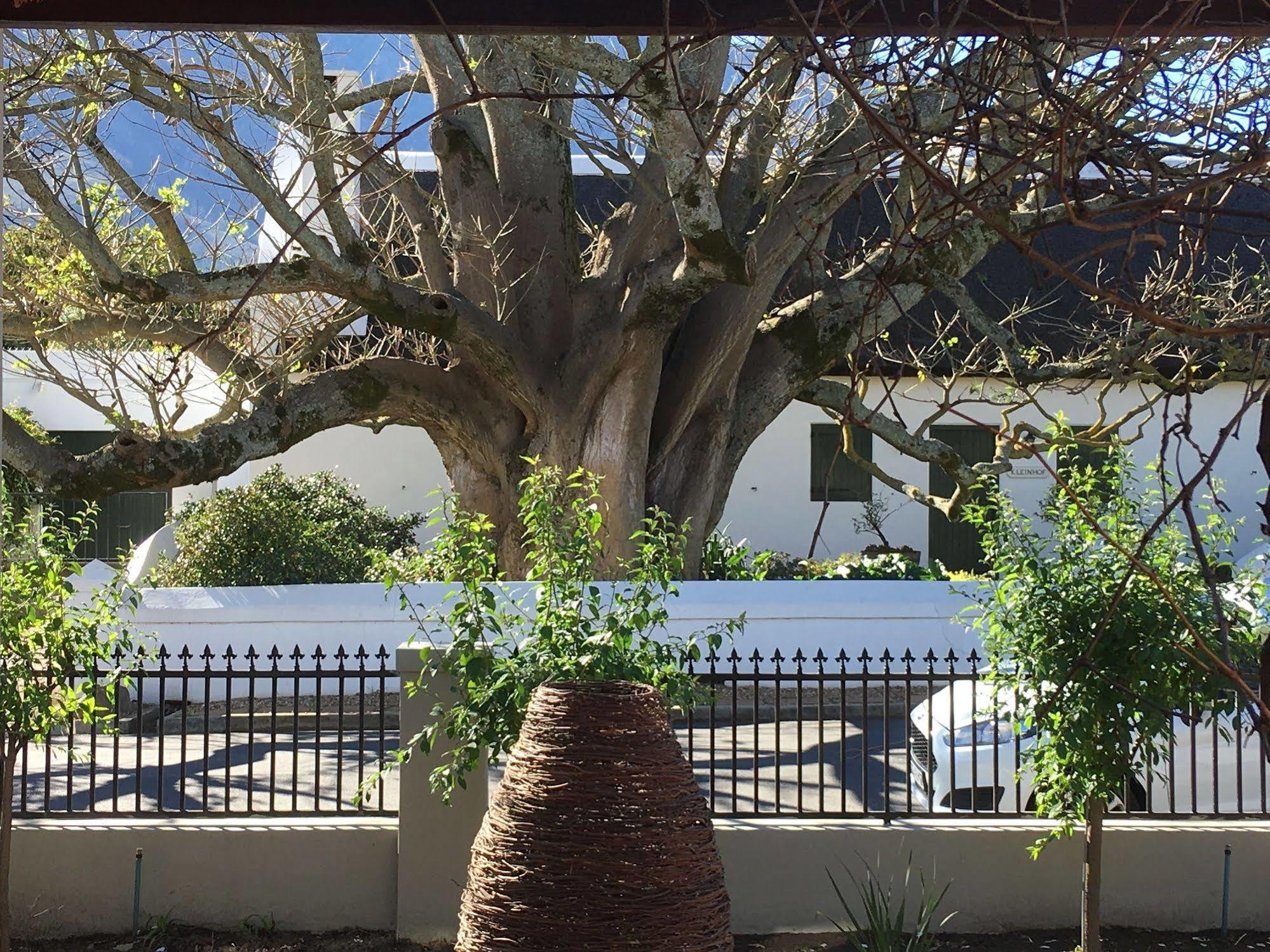 Calais Guest House Franschhoek Exterior photo