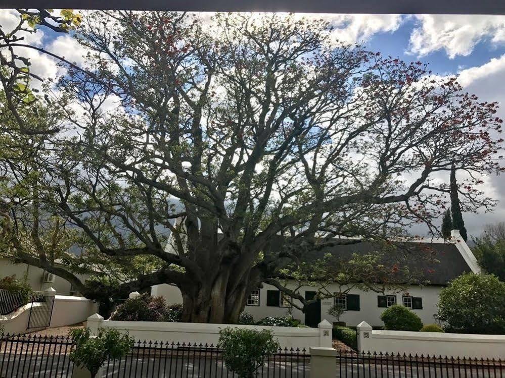 Calais Guest House Franschhoek Exterior photo